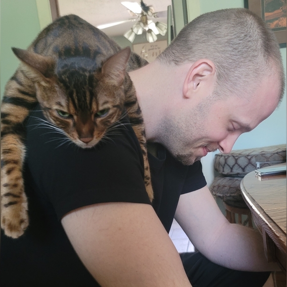 Meet your Posher | Amber aka Spotted Faerie ƹӝʒ - Picture 5 of 17